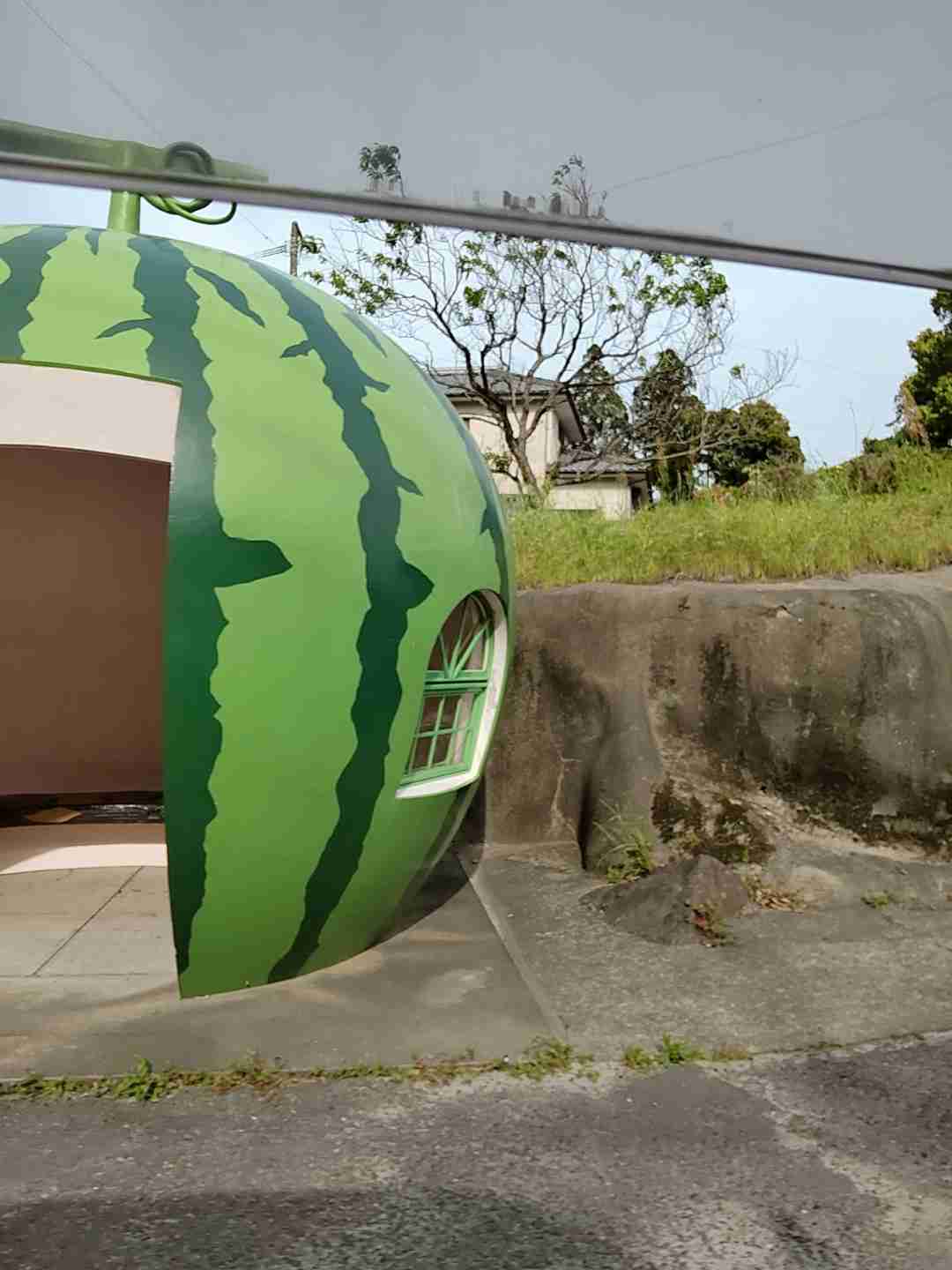 自分で撮ったちょっと残念な写りの写真を貼るトピ