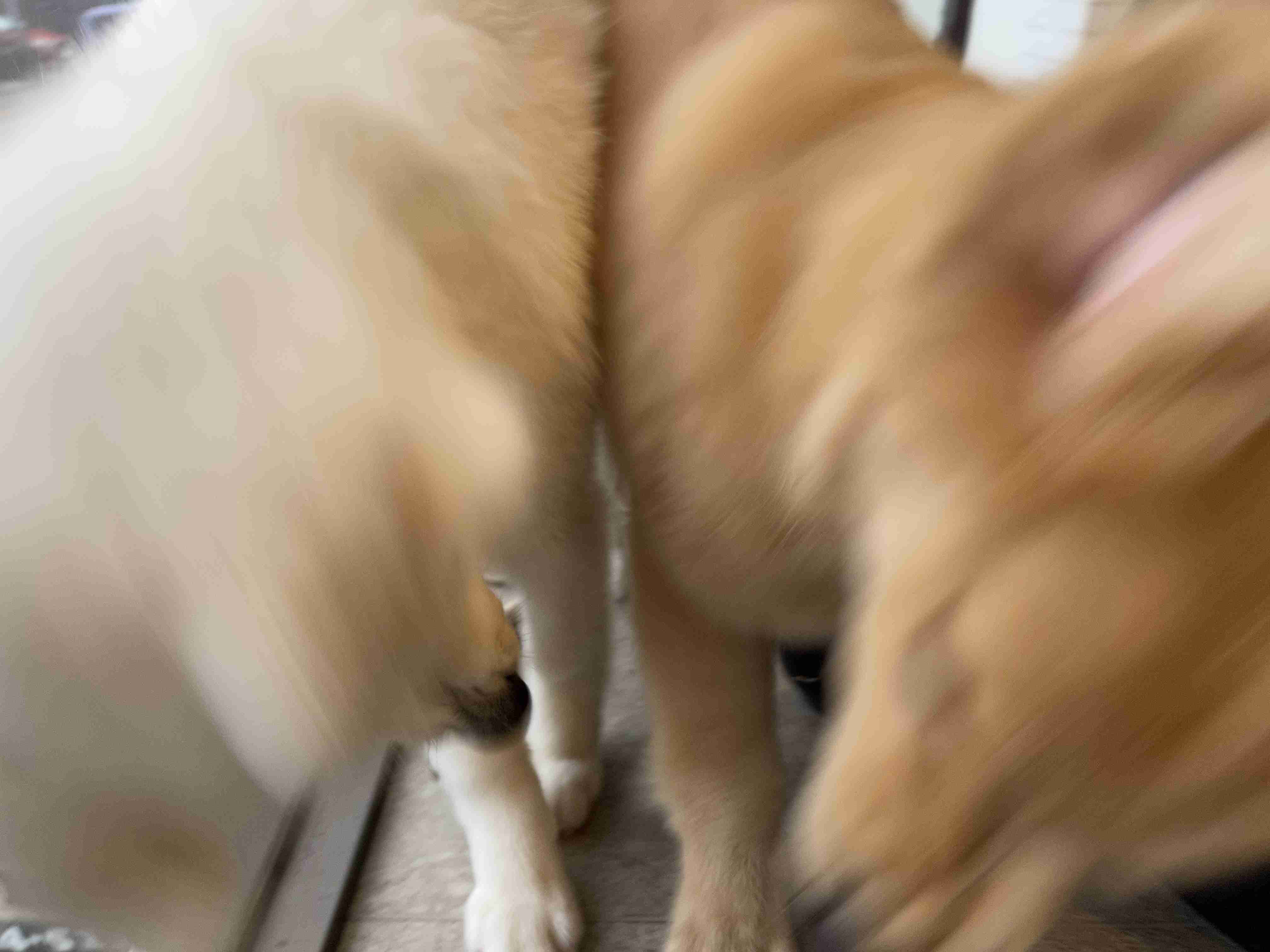 自分で撮ったちょっと残念な写りの写真を貼るトピ