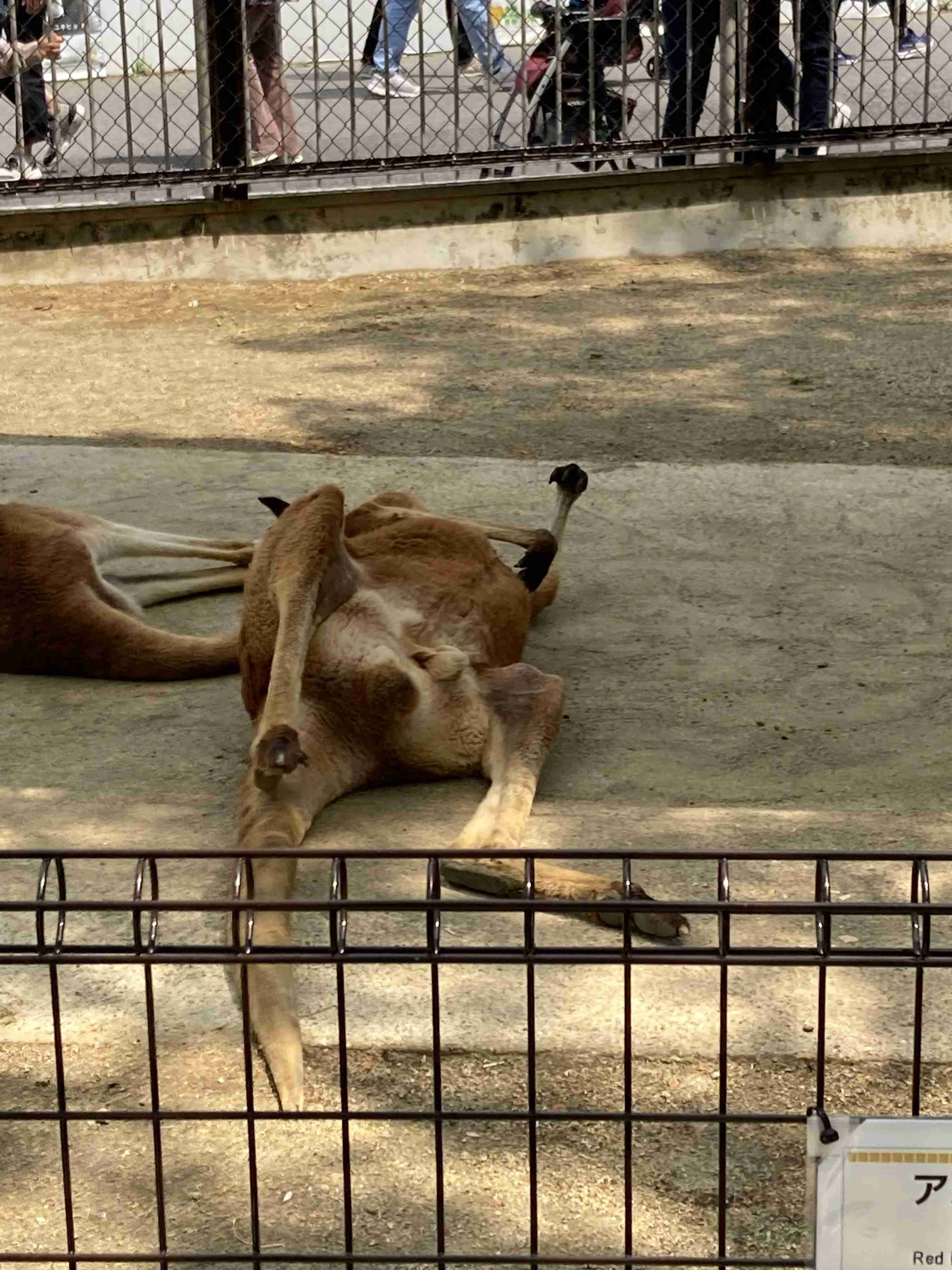 自分で撮ったちょっと残念な写りの写真を貼るトピ