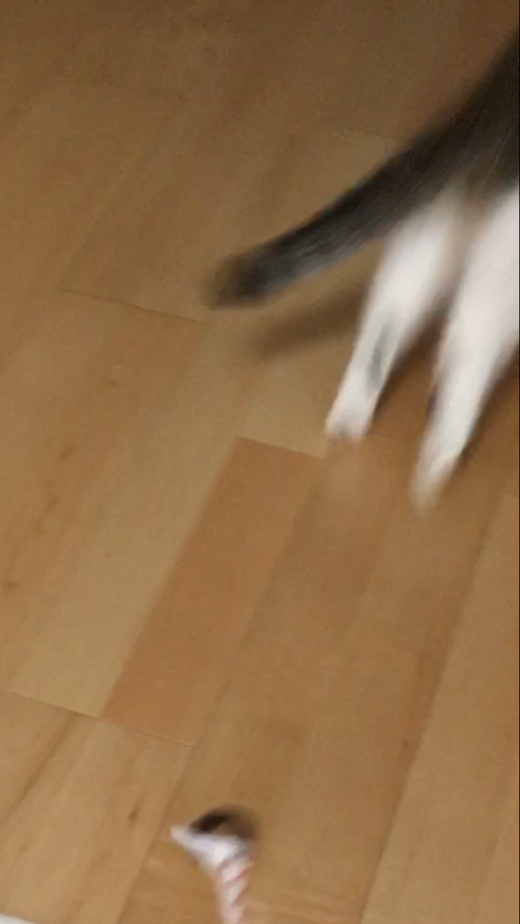 自分で撮ったちょっと残念な写りの写真を貼るトピ