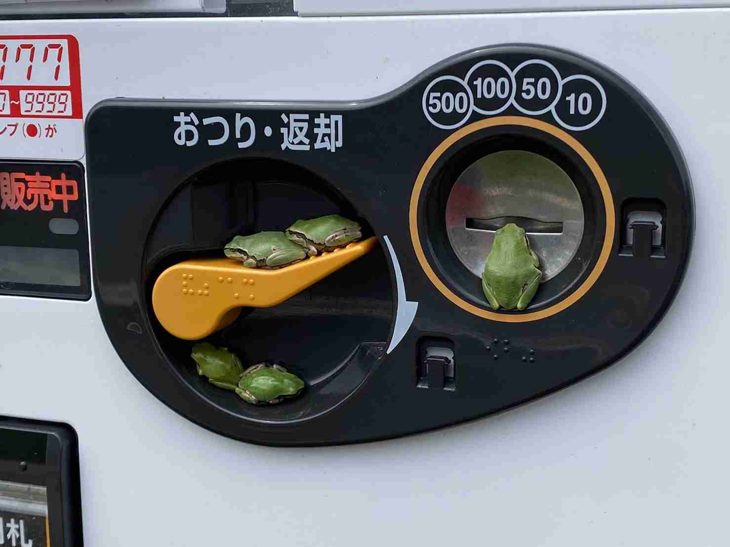 【閲覧注意】苦手なのに見てしまう