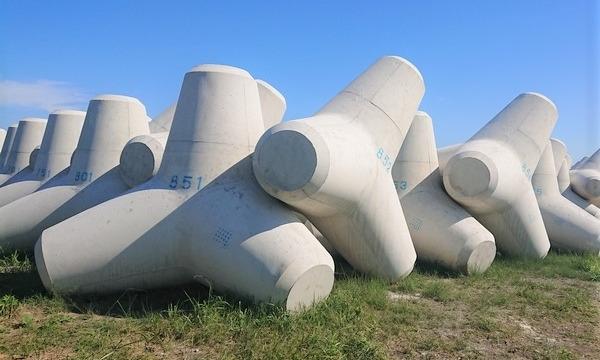 【閲覧注意】苦手なのに見てしまう