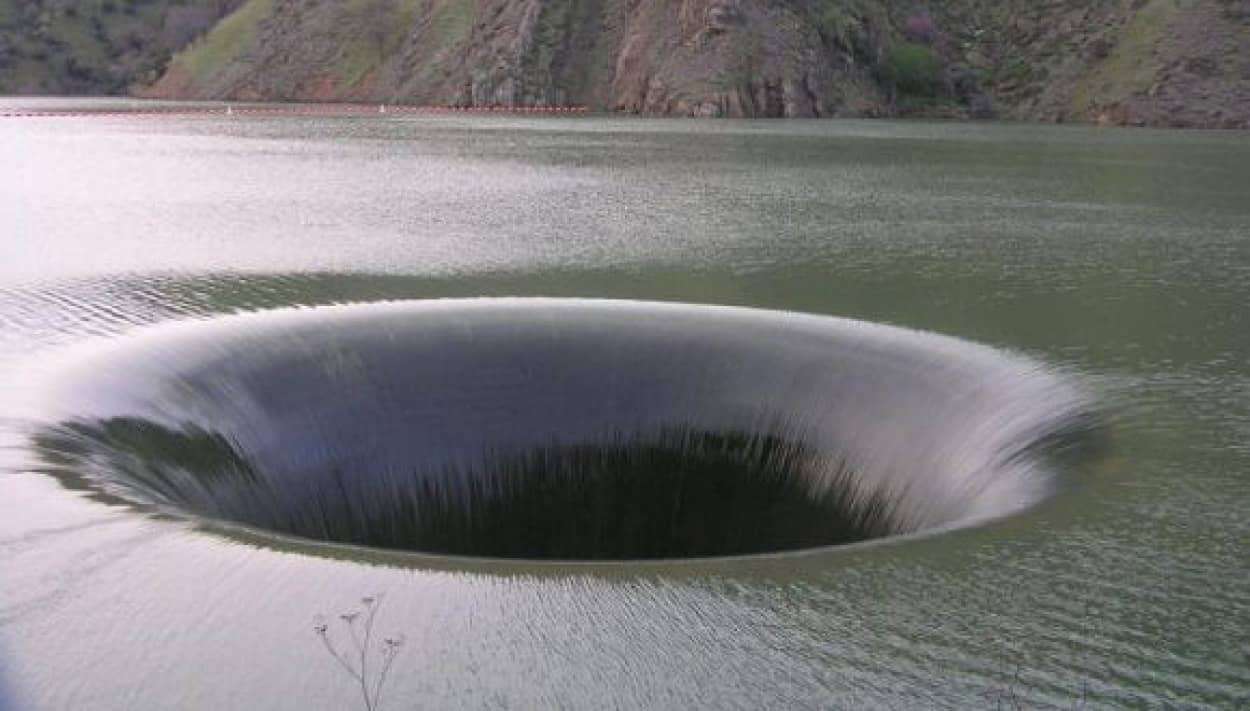 【閲覧注意】苦手なのに見てしまう