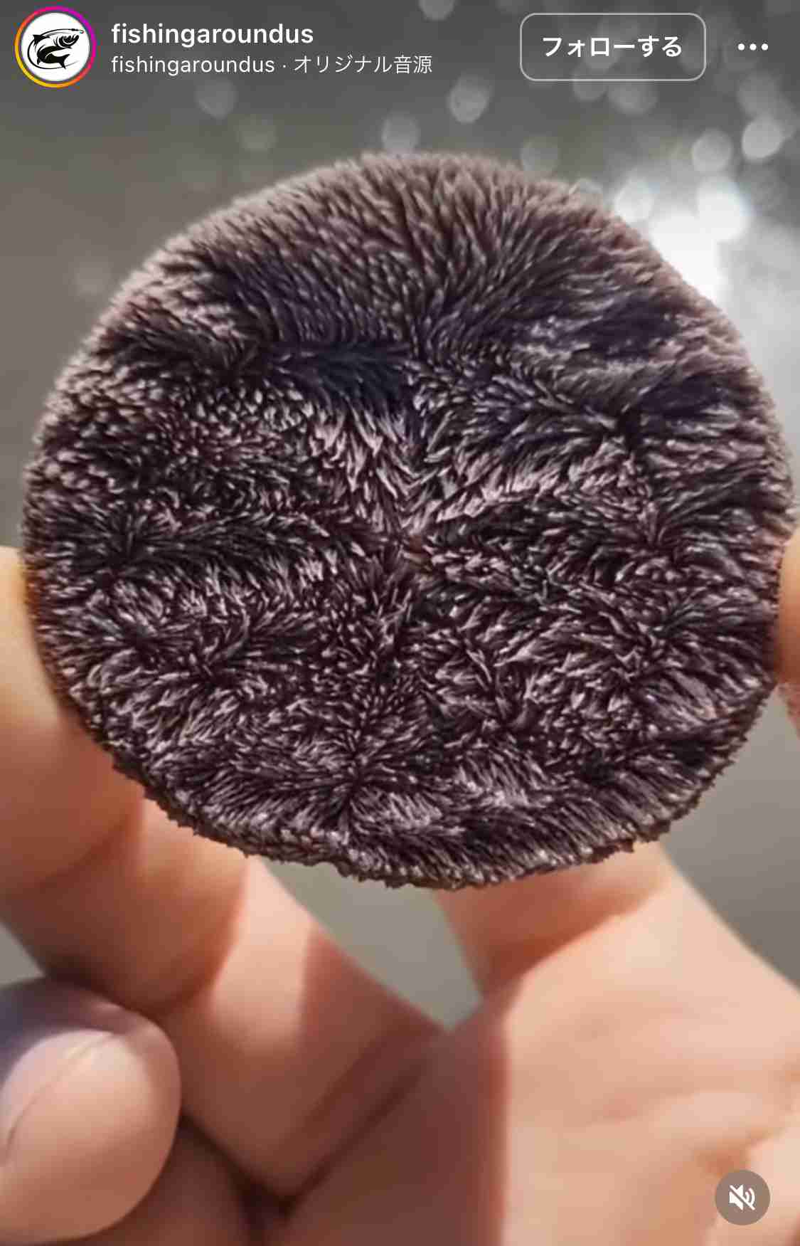 【閲覧注意】苦手なのに見てしまう