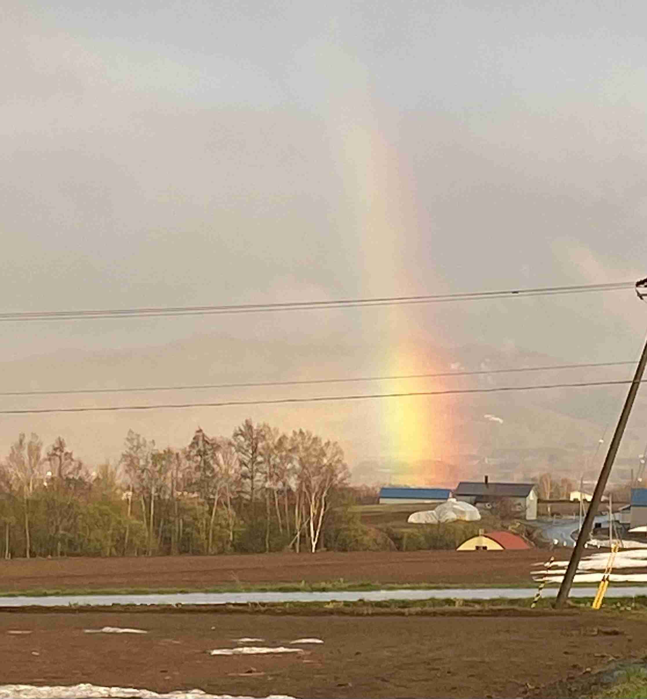 最後に「虹」を見たのはいつですか?