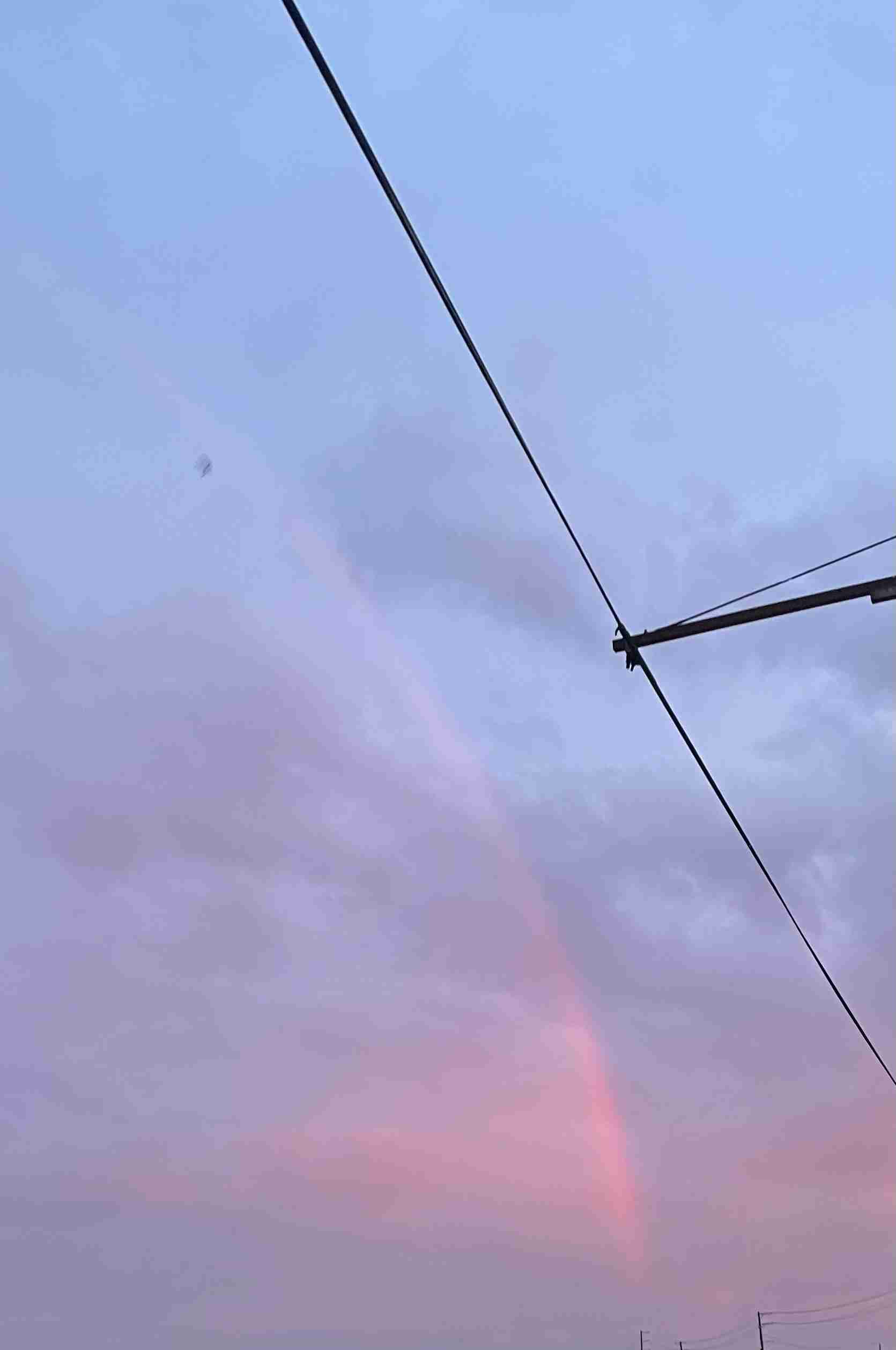 最後に「虹」を見たのはいつですか?