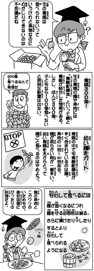 【梅】好きな人【うめ】梅仕事【ウメ】
