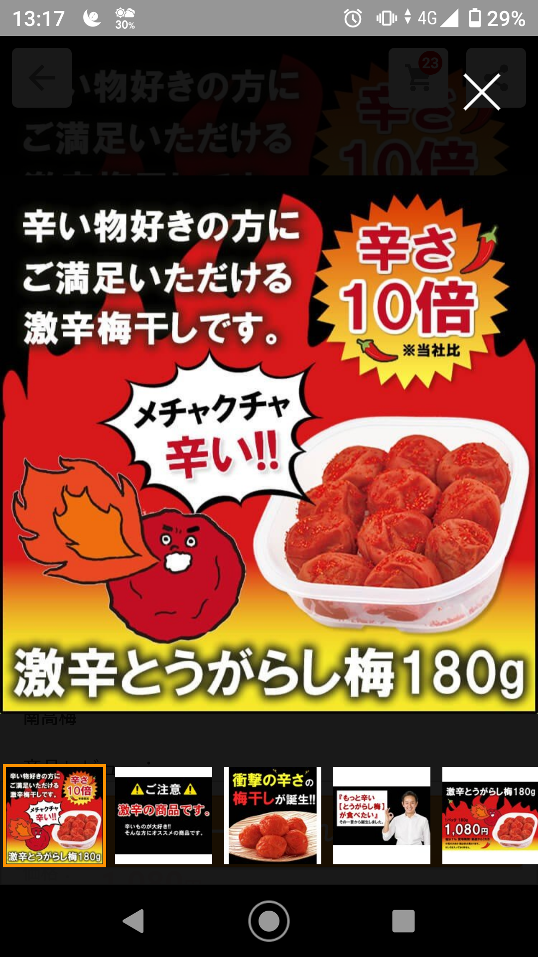 【梅】好きな人【うめ】梅仕事【ウメ】