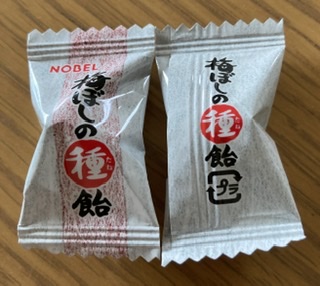 【梅】好きな人【うめ】梅仕事【ウメ】