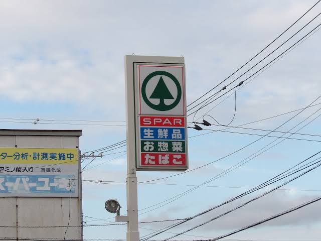 針葉樹林恐怖症の方、いますか？