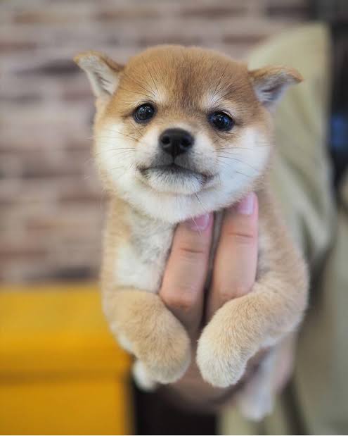 働きたいけど行動できないニート