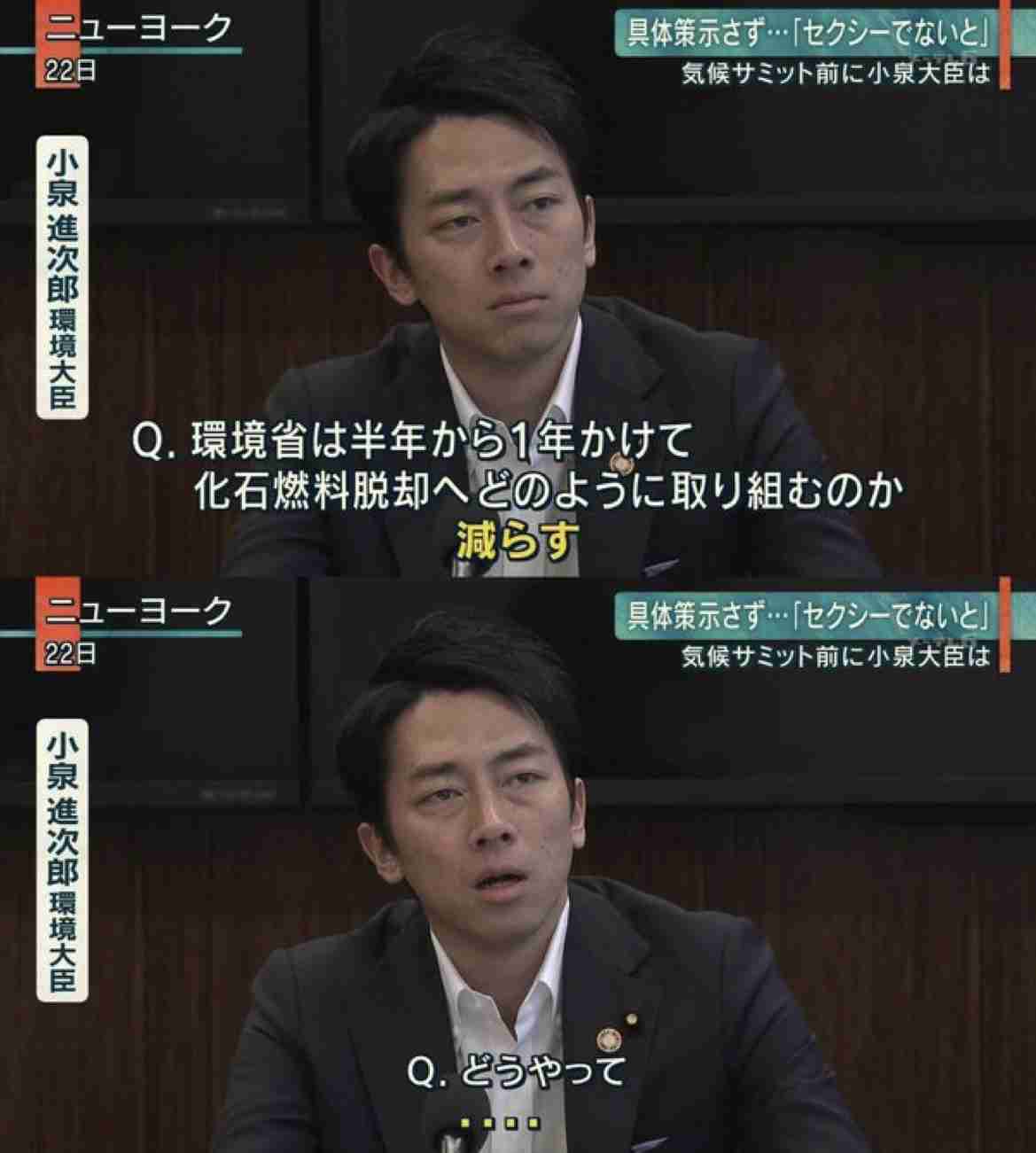 生稲晃子氏「富裕層への課税強化」に「反対」「賛成」と真逆の回答 あまりの矛盾にツッコミ殺到