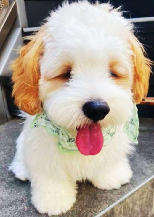 お洒落な写真を撮るには？