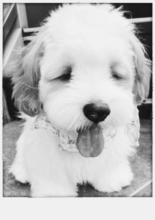 お洒落な写真を撮るには？