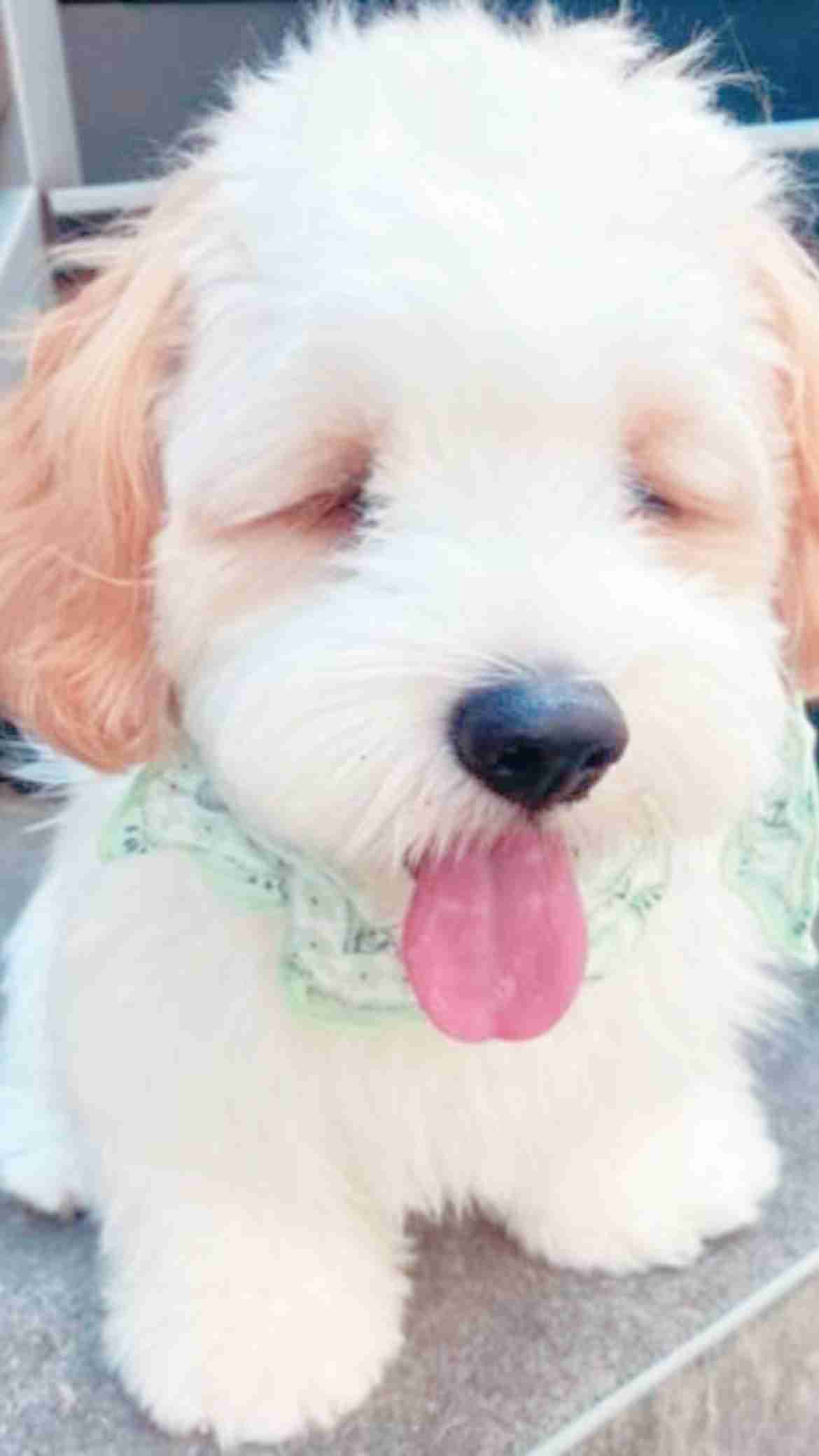 お洒落な写真を撮るには？