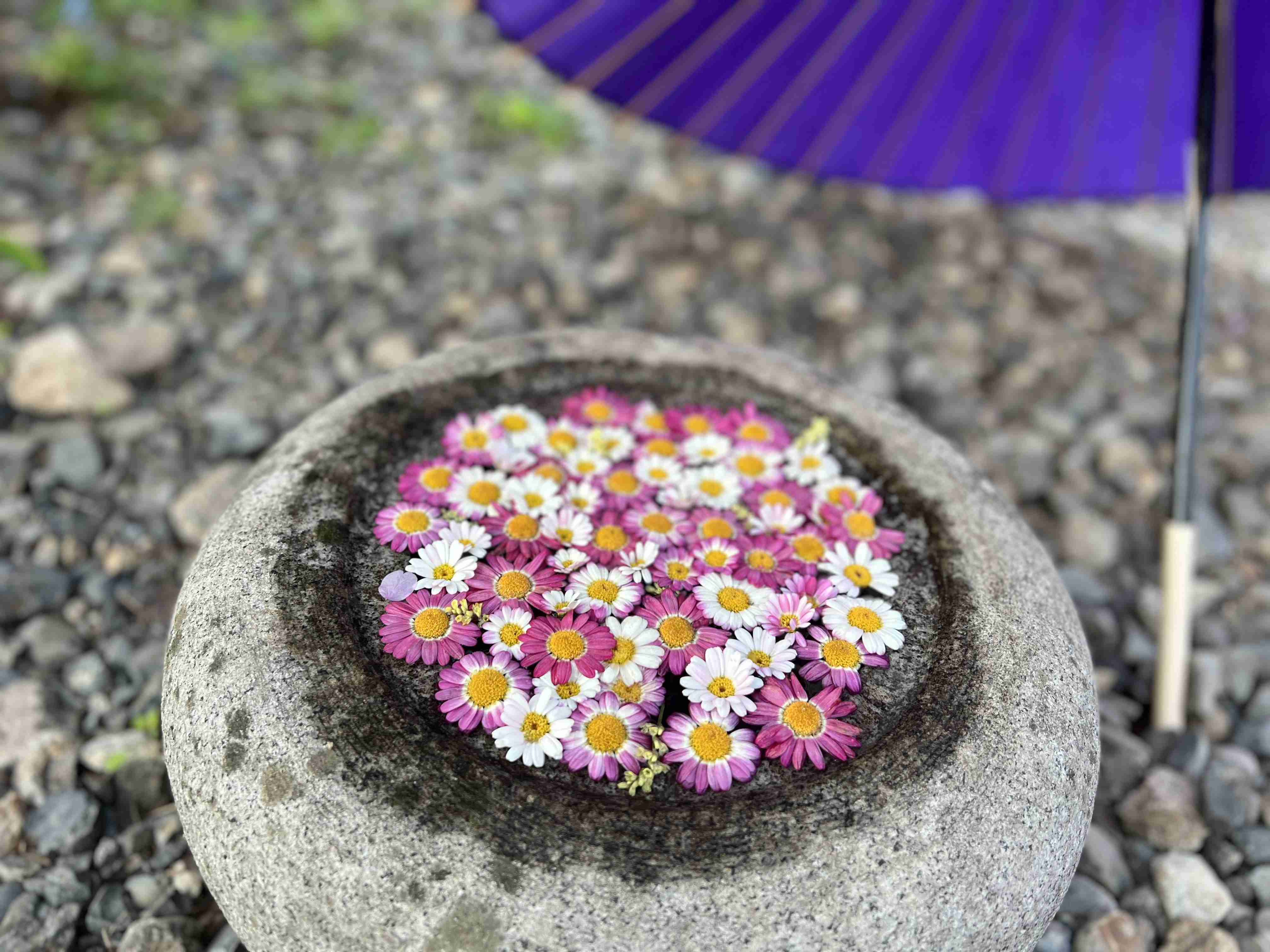 お洒落な写真を撮るには？