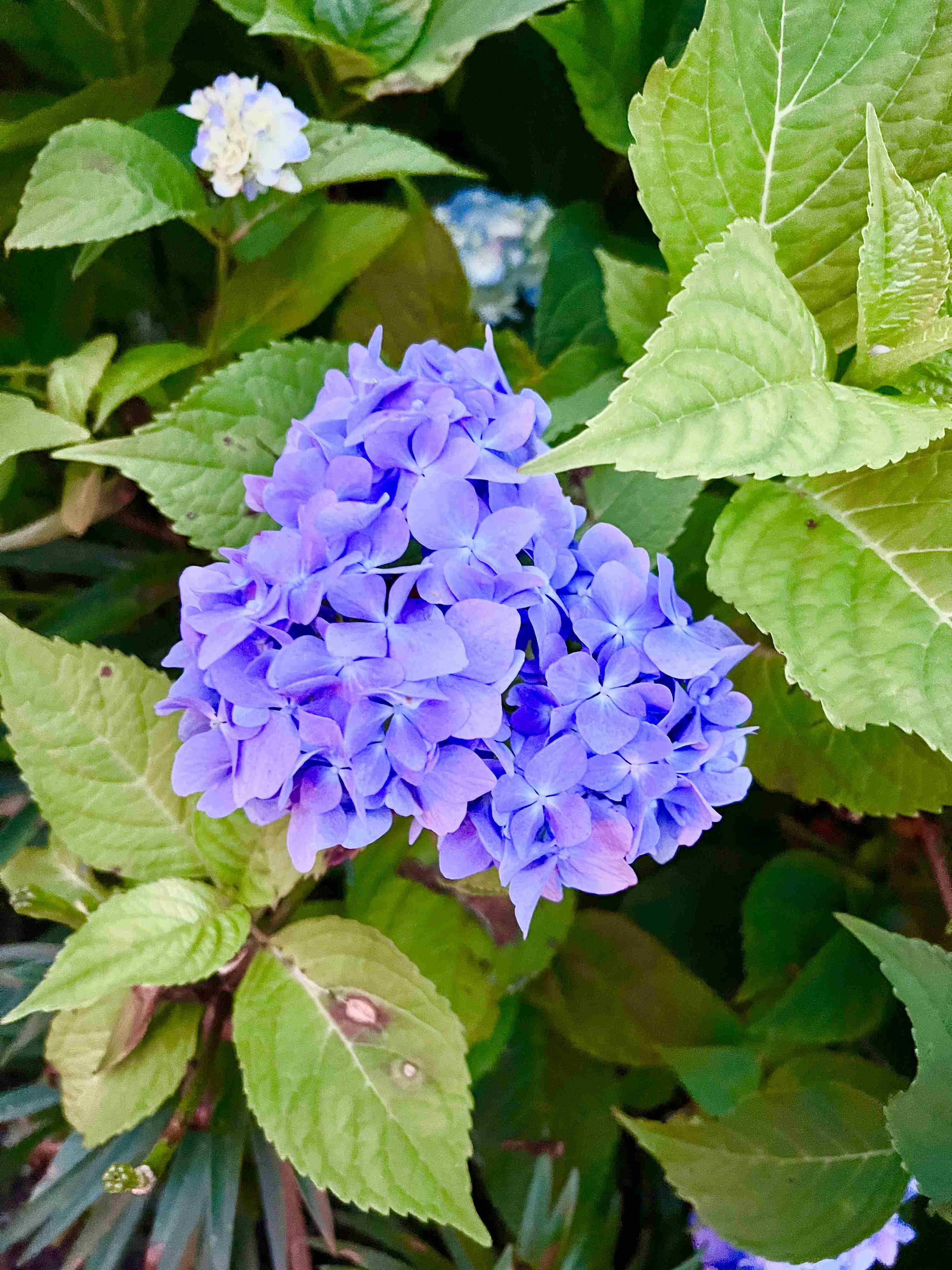 お洒落な写真を撮るには？