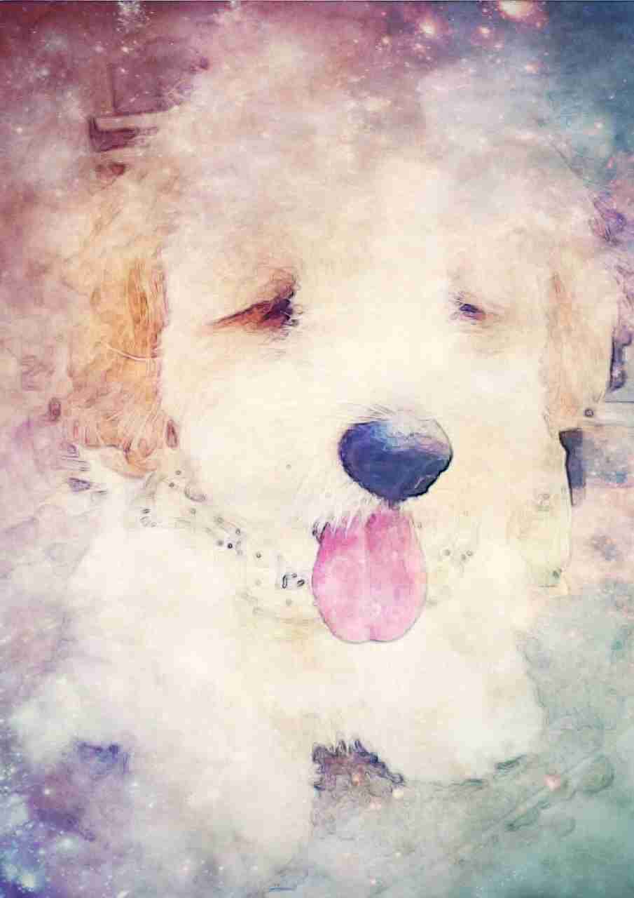 お洒落な写真を撮るには？