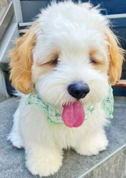 お洒落な写真を撮るには？