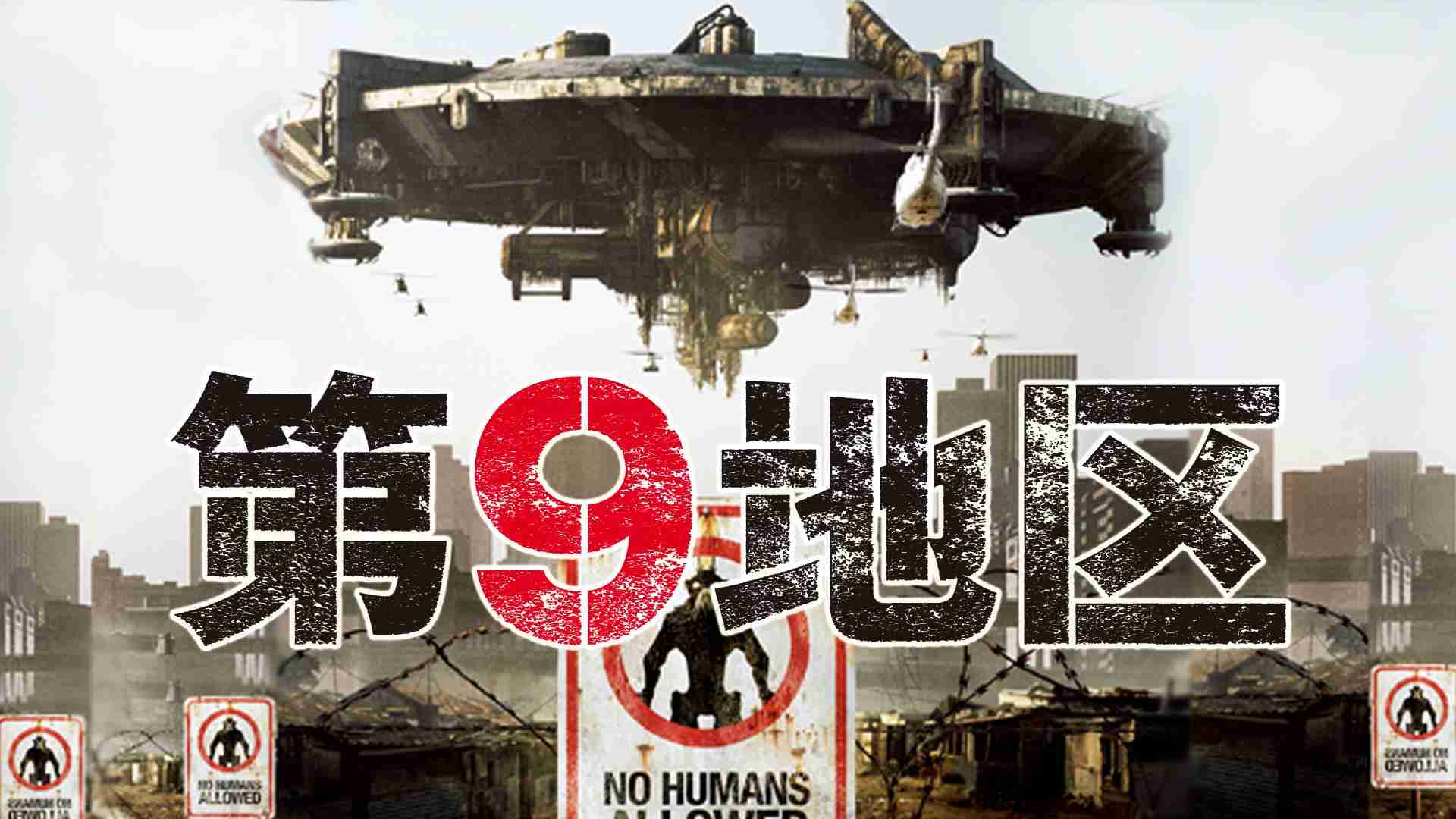 58人襲われた山口市小郡地域でサル捕獲、殺処分に 捕獲後6人が被害、別サル捜索続く