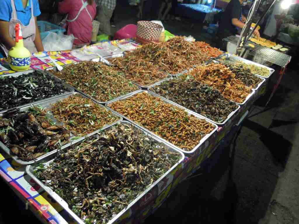 海外の生活習慣で、ちょっとやってみたいもの