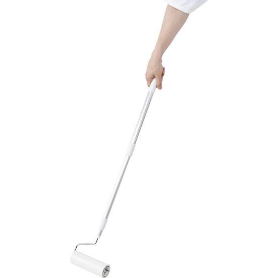 助けて! 家の中にコウモリが