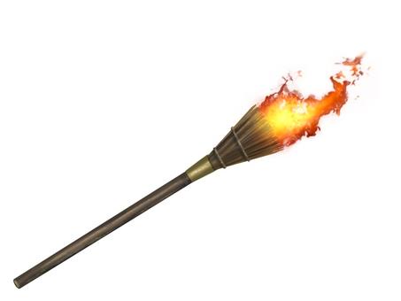 助けて! 家の中にコウモリが