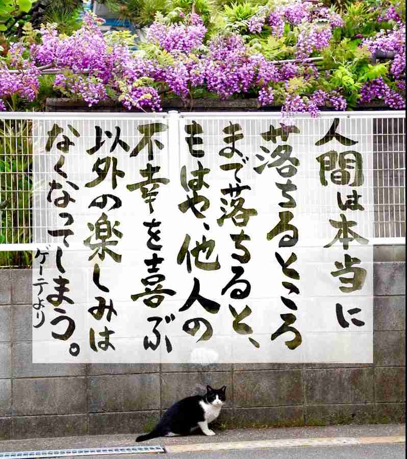 菅義偉前首相 安倍元首相は「寂しがり屋でもありました」、銃撃の一報受け「そばにいてやりたい」と奈良へ