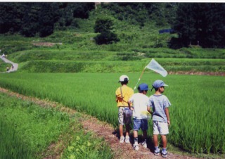 なぜ小学校の夏休みは思い返すとノスタルジックなんだと思いますか?