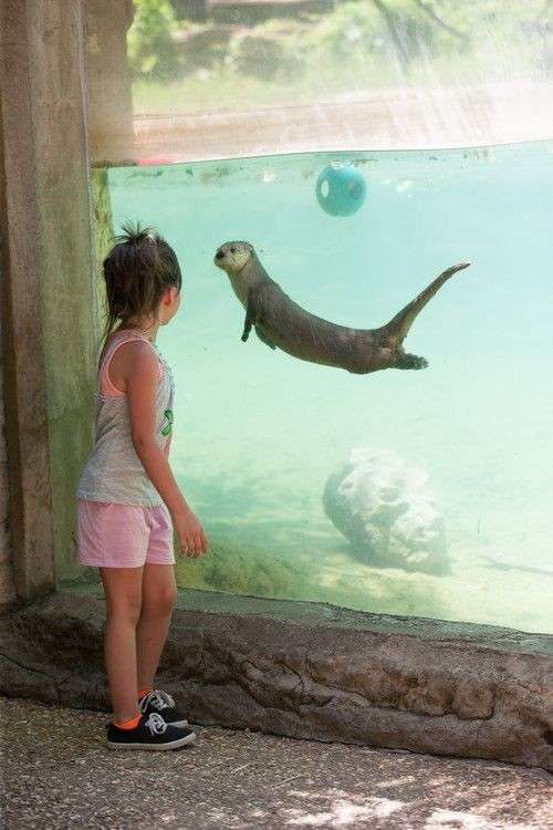 動物園や水族館や博物館が嫌いな人