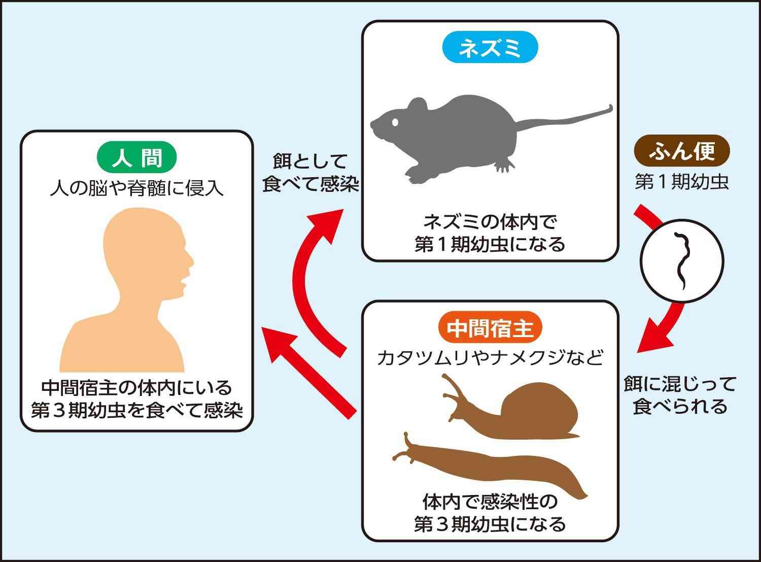 大阪王将ナメクジ騒動、立ち入り検査前に厨房清掃？　疑惑写真がネット拡散...保健所の見解は
