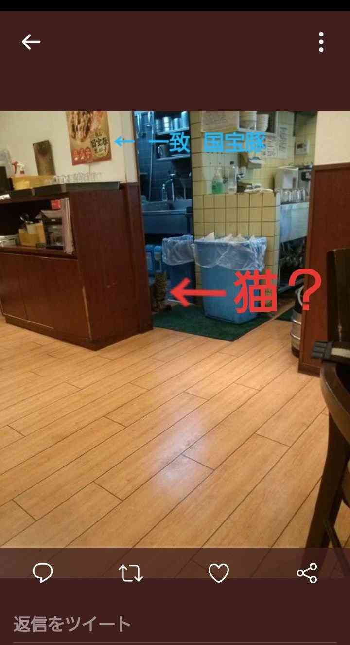 大阪王将ナメクジ騒動、立ち入り検査前に厨房清掃？　疑惑写真がネット拡散...保健所の見解は