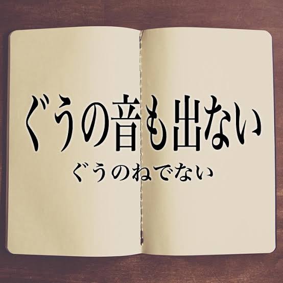 ぐうの音も出なかった事