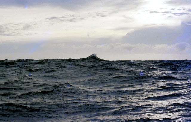 いわきの海水浴場に緑色の帯、海開きを前に「離岸流」調査する着色剤