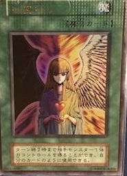 断捨離被害者の会