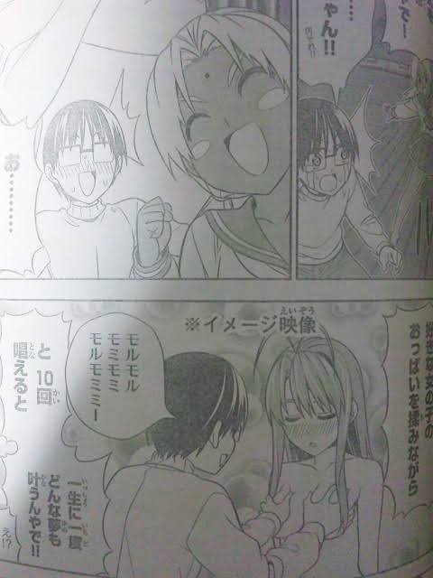 人気漫画「ラブひな」作者がトップ53万票…比例自民の個人名票、業界団体の集票力に衰えも