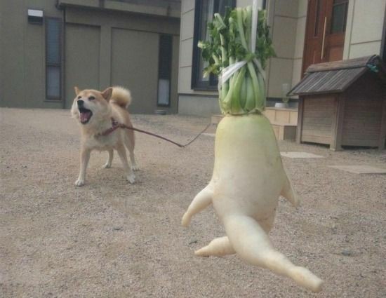 【ジャンル問わず】ただただ好きな画像を貼って立ち去るトピ