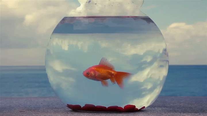 【ジャンル問わず】ただただ好きな画像を貼って立ち去るトピ