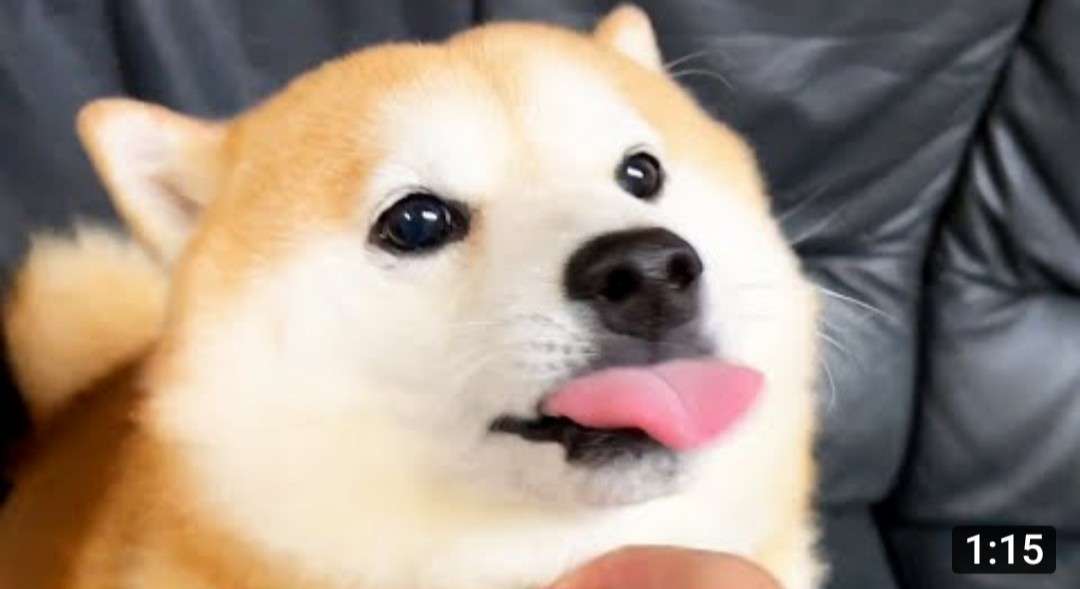 【ジャンル問わず】ただただ好きな画像を貼って立ち去るトピ