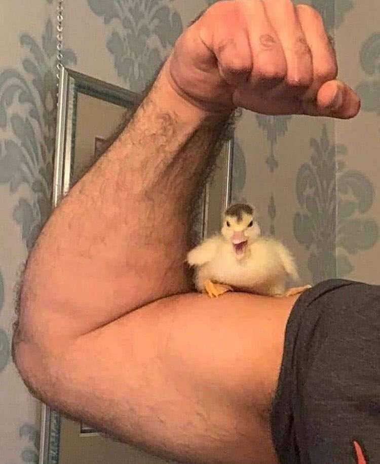 【ジャンル問わず】ただただ好きな画像を貼って立ち去るトピ