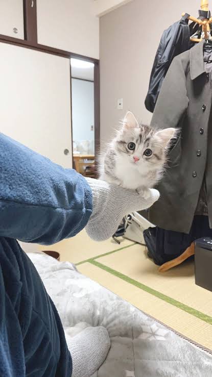 【ジャンル問わず】ただただ好きな画像を貼って立ち去るトピ