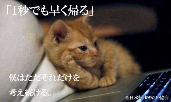 【ジャンル問わず】ただただ好きな画像を貼って立ち去るトピ