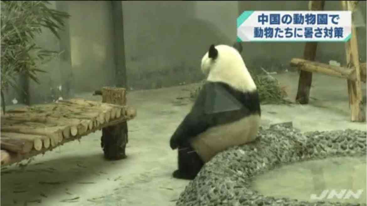 【ジャンル問わず】ただただ好きな画像を貼って立ち去るトピ