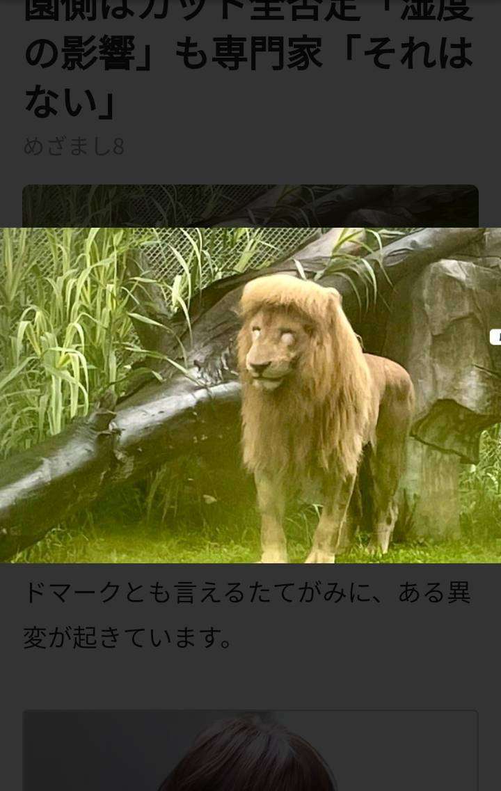 【ジャンル問わず】ただただ好きな画像を貼って立ち去るトピ
