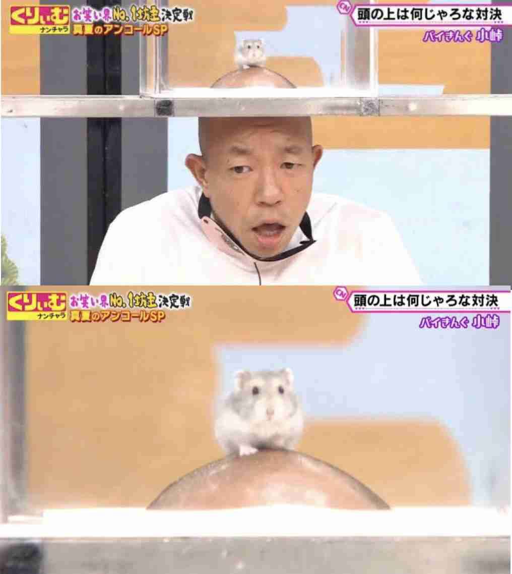 【ジャンル問わず】ただただ好きな画像を貼って立ち去るトピ