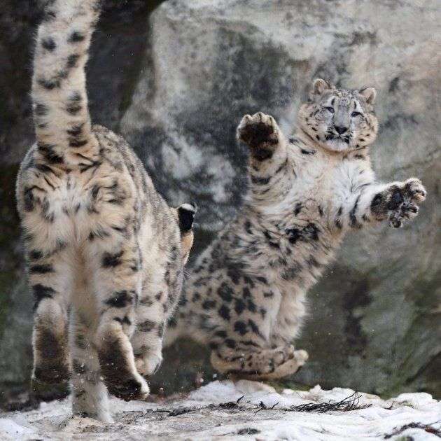 【ジャンル問わず】ただただ好きな画像を貼って立ち去るトピ