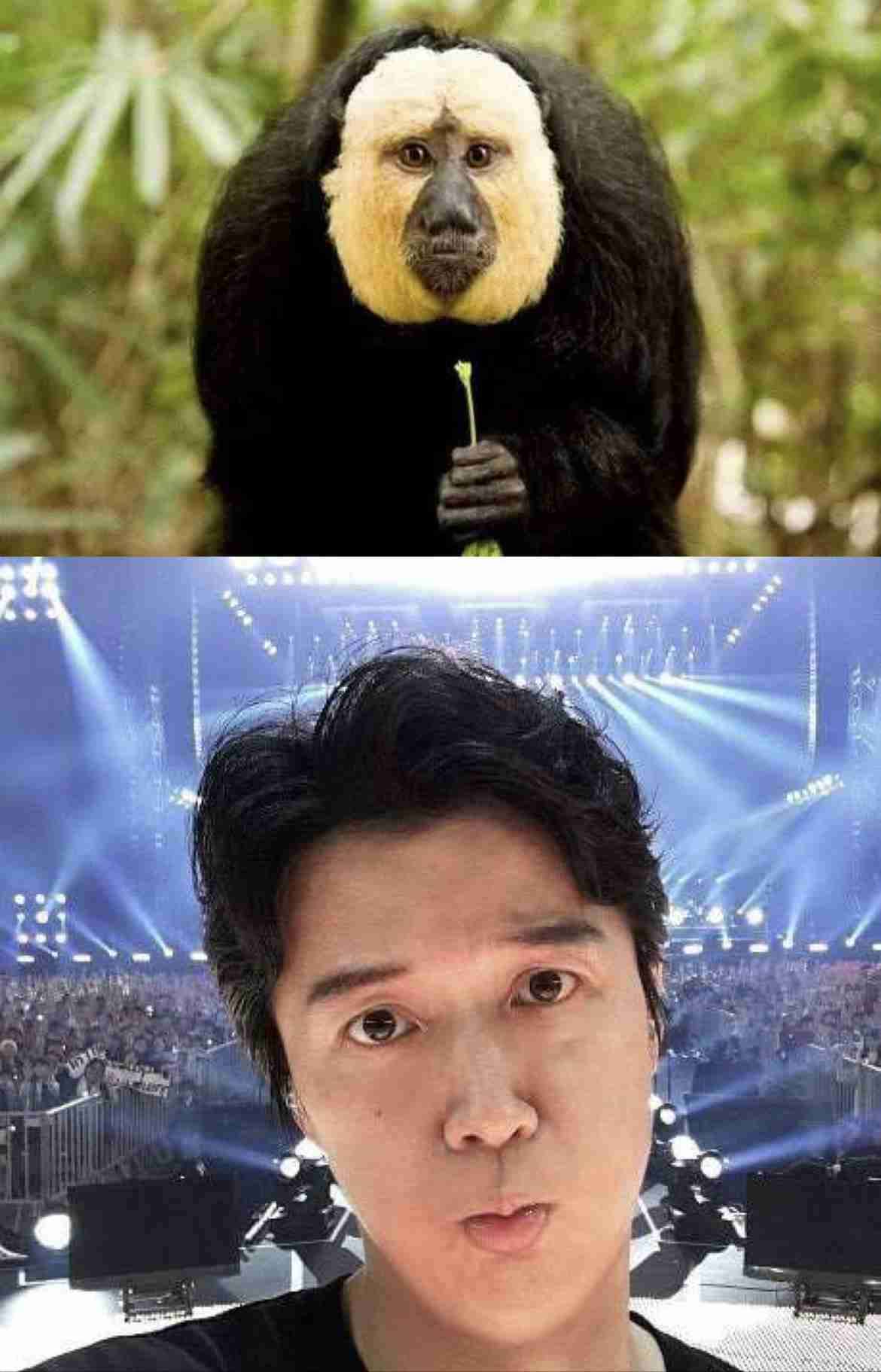 【ジャンル問わず】ただただ好きな画像を貼って立ち去るトピ