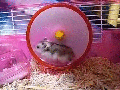 【ジャンル問わず】ただただ好きな画像を貼って立ち去るトピ