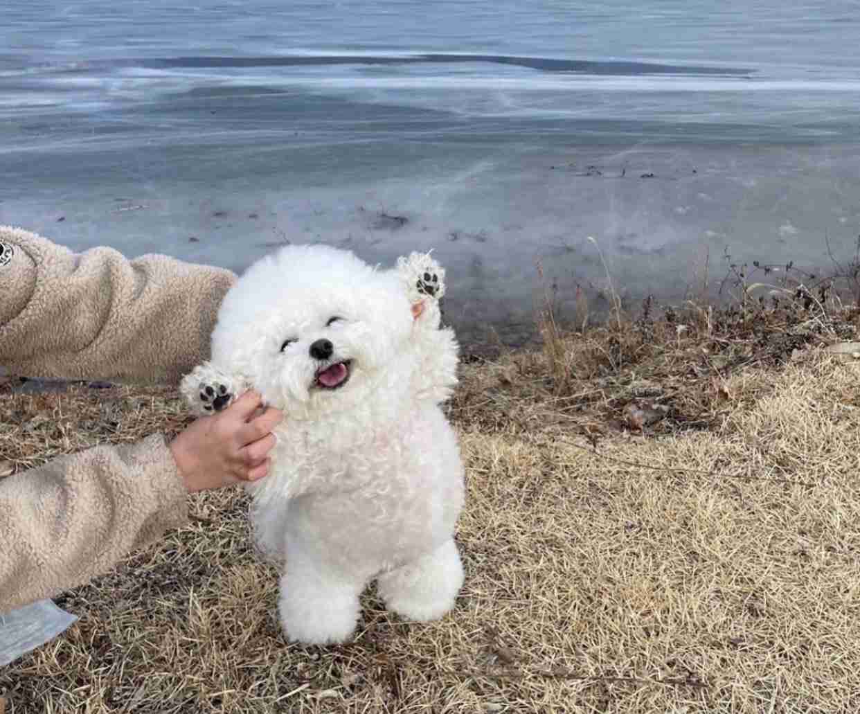 【ジャンル問わず】ただただ好きな画像を貼って立ち去るトピ