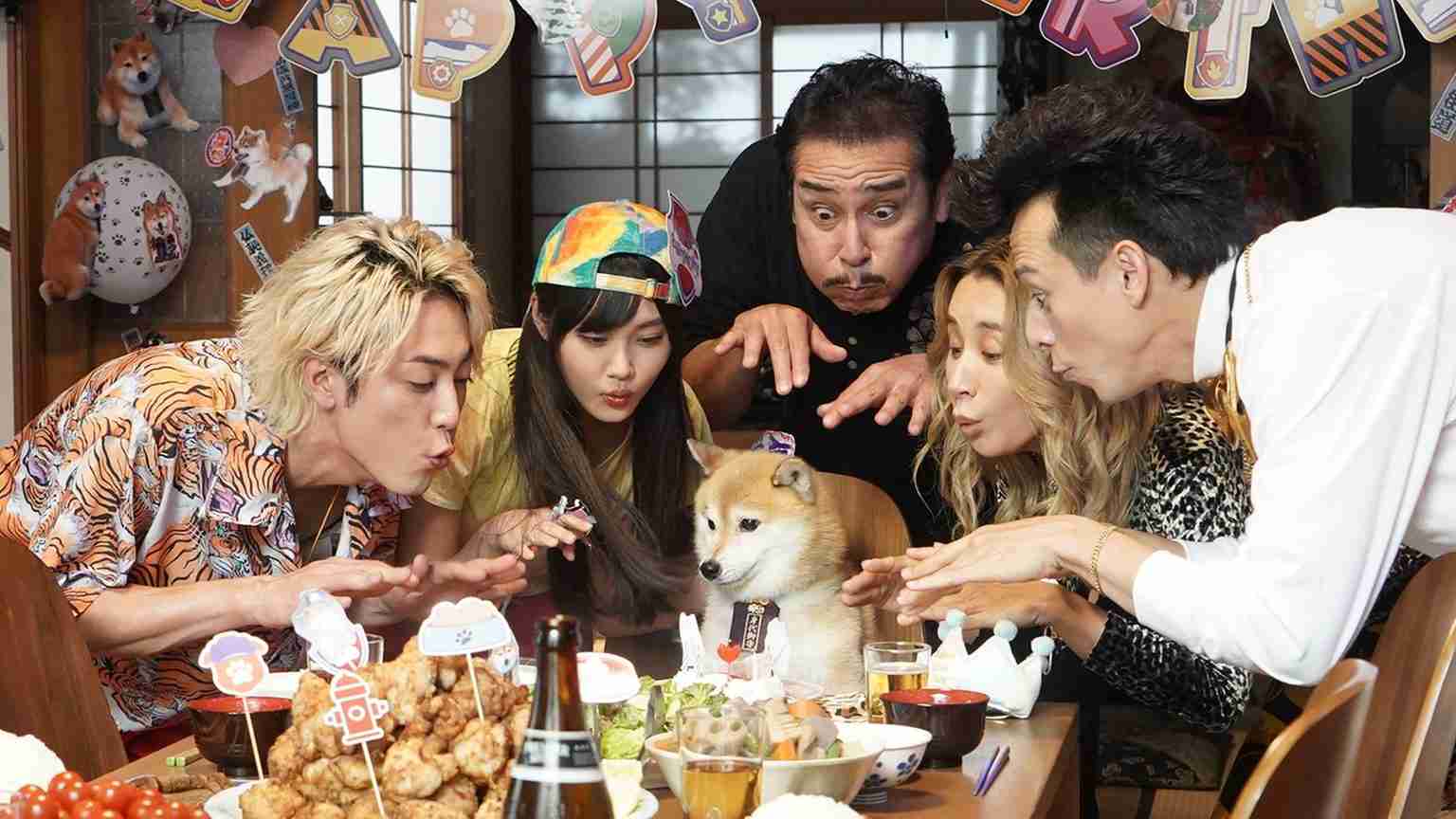 愛犬の誕生日を盛大にお祝い　100キロのケーキと4000人のゲストを招待した飼い主に賛否の声（印）